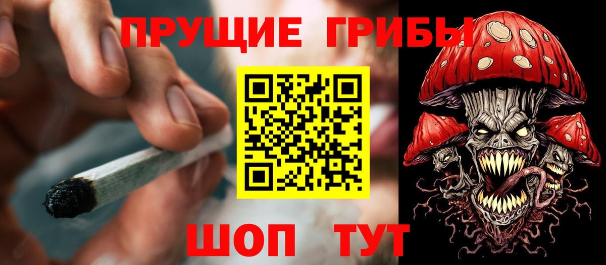 Галлюциногенные грибы MAGIC MUSHROOMS Сафоново